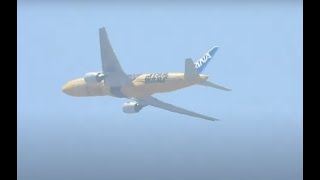 Plane Spotting LIVE！ Osaka Internatioal Airport 06/02/2024 No.2