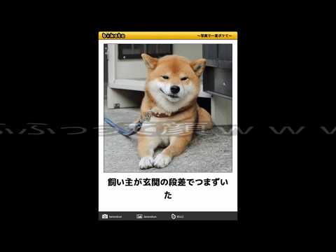 【100%笑える】ボケて（コメ付き）小一時間笑える傑作選8連発②