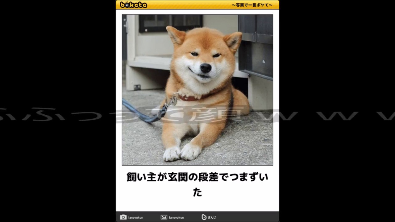 100 笑える ボケて コメ付き 小一時間笑える傑作選8連発 Youtube