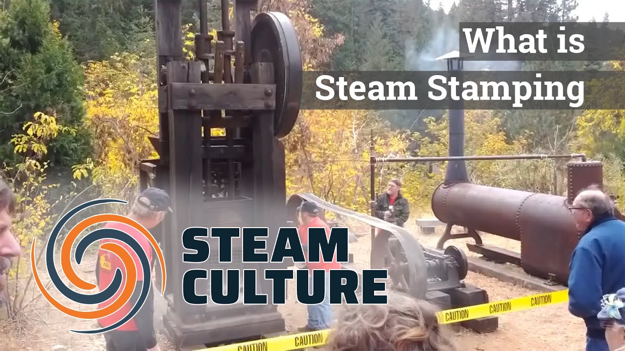 Steam Culture