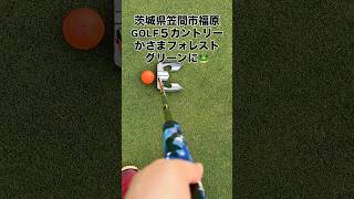 茨城県笠間市福原 ゴルフ5カントリーかさまフォレスト パット練習場にアマガエル