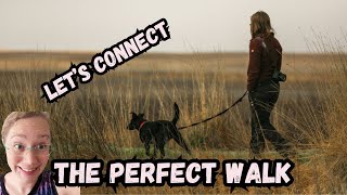 How to Walk Your Dog POSITIVELY  The Basics