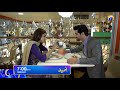 Watch Drama Serial Umeed Tonight at 7:00 PM only on HAR PAL GEO Online In HD