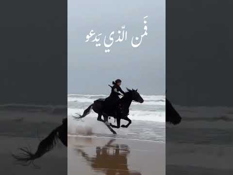 ابتهالات دينيه بصوت النقشبندي حالات واتس تصميمي