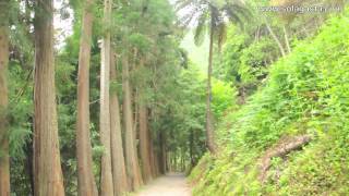 PRC6SMI - Lagoa das Furnas (Povoação - São Miguel - Açores)
