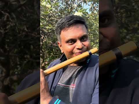 Raasave… indha isai erumbu engalai innum kadikkudhe! #ilayaraja #flute #hitsong
