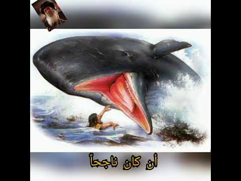 تأمل للبابا شنودة الثالث عن يونان النبي