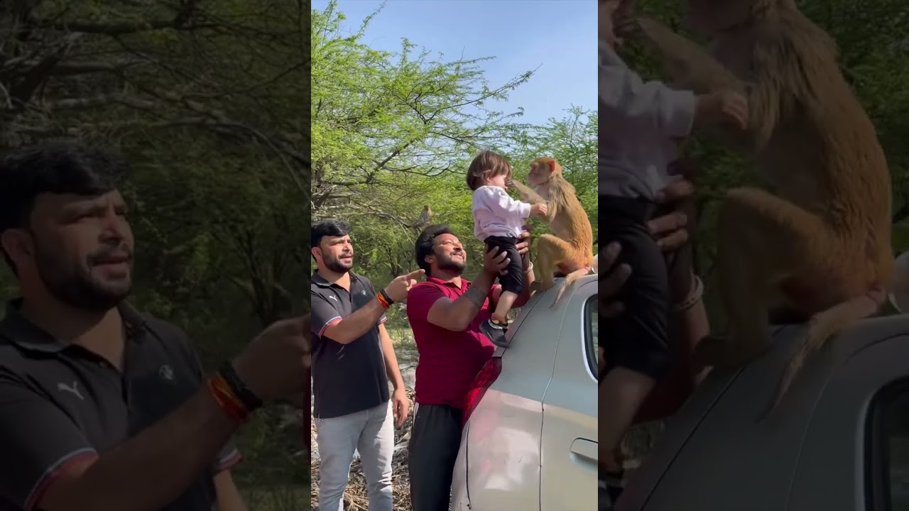 Я заботилась об этой обезьянке несколько месяцев, и сегодня она любит мою дочь так же сильно, как...