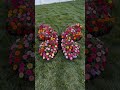 I turned a patch of grass into a butterfly flower bed ✨#HomeDecor  #timelapse #backyard #satisfying