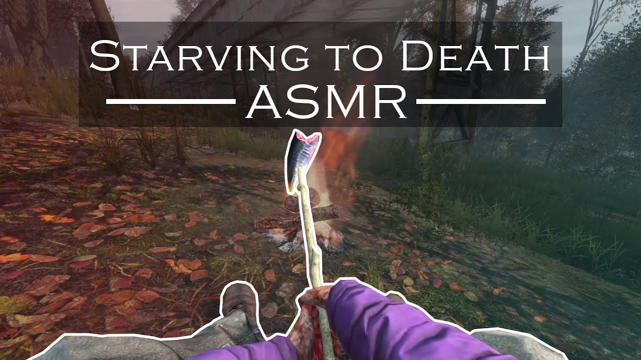 DayZ Apocalypse ASMR - YouTube