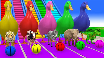 Long Slide Game with Cow Elephant Gorilla Hippopotamus Tiger 3d Animal Game Funny 3d Animals