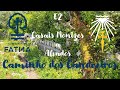 Caminhos da Fé - Caminho dos Candeeiros - E2 - Casais Monizes a Alvados