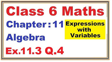 Ex.11.3 (Q.4) Chapter:11 Algebra | Ncert Maths Class 6 | Cbse