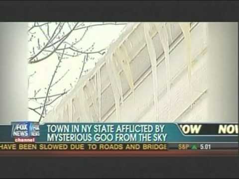 Green / Yellow Goo Falls From Sky In New York, Media Blames McDonald&#039;s French Fries