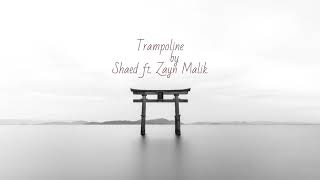 SHAED X ZAYN - Trampoline