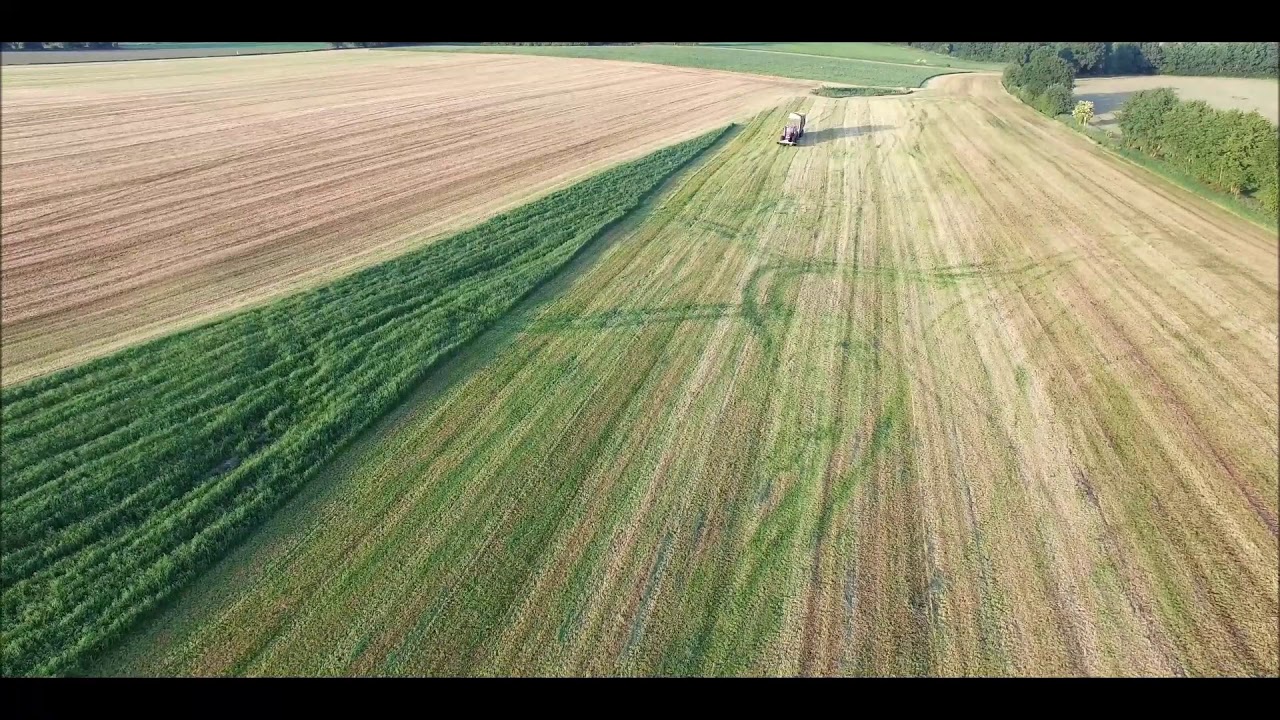 Grasernte 2018 Richtig schnelle Ernte in Nord Deutschland