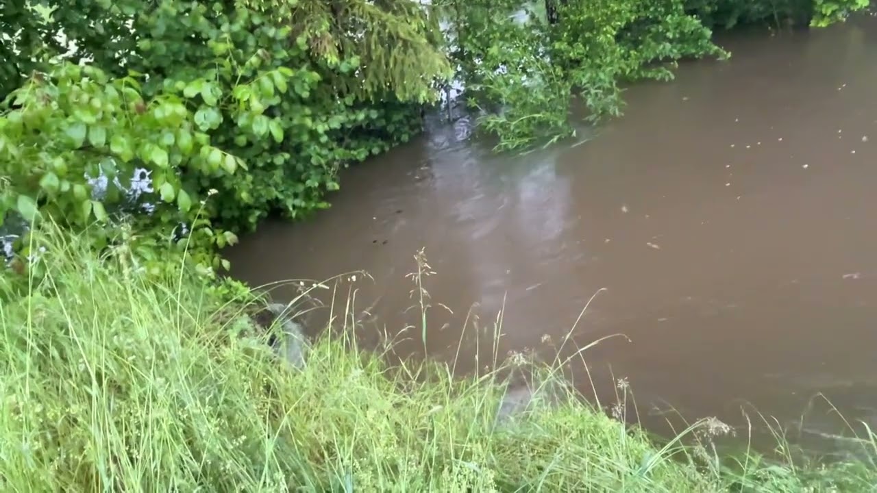Hochwasser \