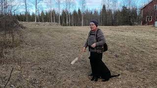 Heartways Love Fairy To Juhellus An Ww 26