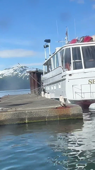 The pier #viral