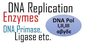 DNA Replication | Genetics | Biology | FuseSchool