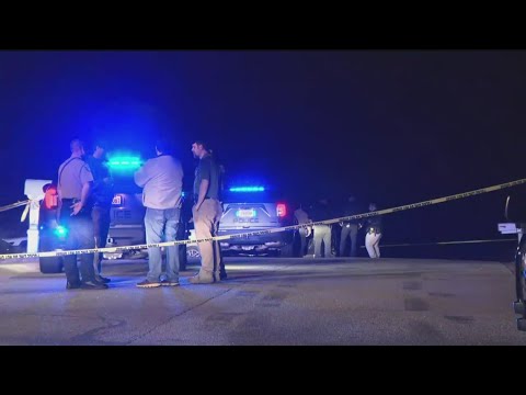 Suspect shot by deputies in Coweta County following pursuit ...