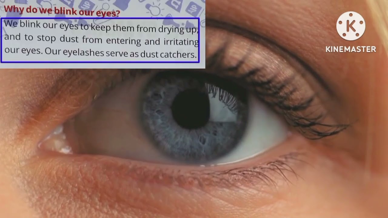 why do we blink our eyes ❓ka apko phle pata tha ?##