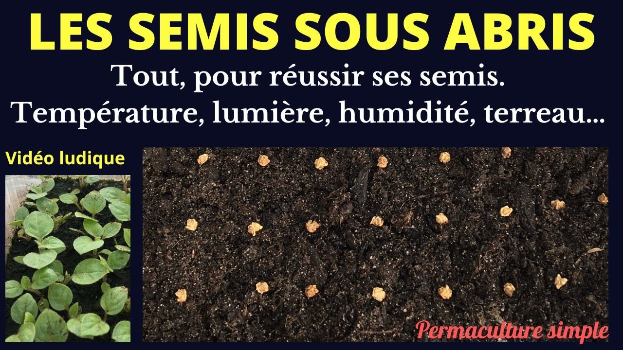 Réussir les semis sous abris 