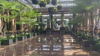 (ASMR) Reflection Pool at the Conservatory - Longwood Gardens #fountain #botanicalgarden