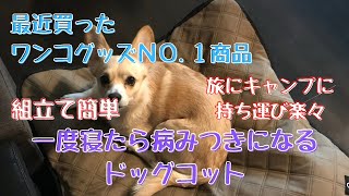 買って良かった犬用品NO.1商品　キャンプでも自宅でも大活躍　ワンチャンのベッドの代わりに　ドッグコット