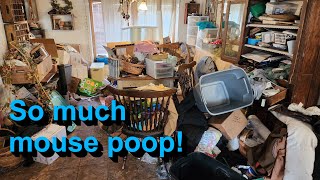 Cleaning a hoarded house right in the face