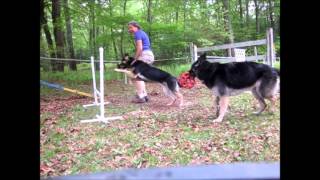 Data Driven Agility - Contact Training (Jumping into Position) (1)