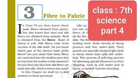 class 7| science | chapter 3 |fiber to fabric  | complete ncert | part 4