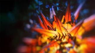 Video thumbnail of "Peter Broderick - And It's Alright [Nils Frahm Remix] (Late Night Tales: Jon Hopkins)"