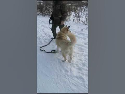 Ялма - YouTube