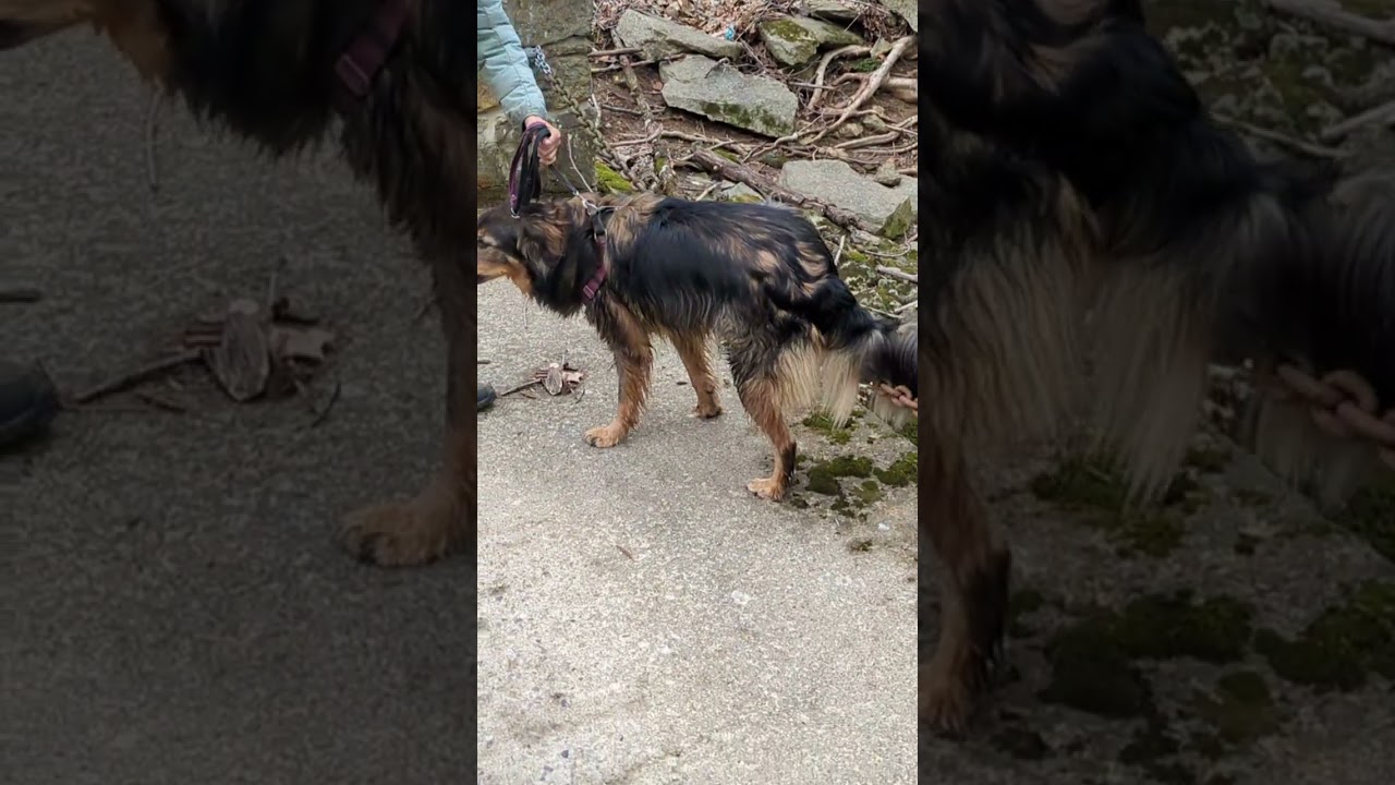 Rear Foot Moving Target