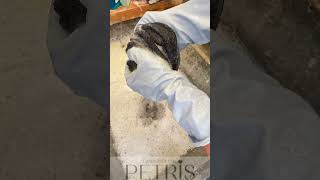 #asmr #wash #clean