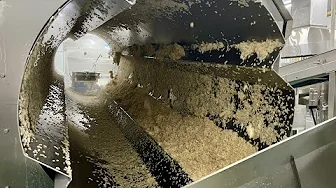 Amazing! Innovative Frozen Fried Rice Production Process – Korean Food Factory