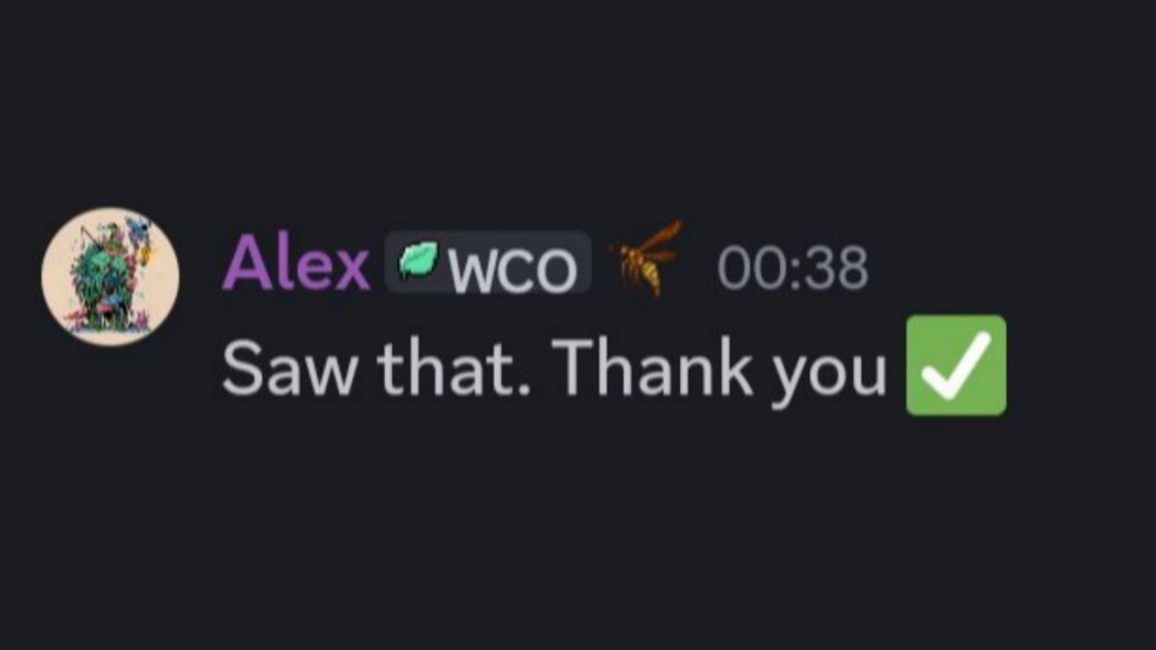 4 Maxed Dragon Sim Accounts in one video + How to change nickname