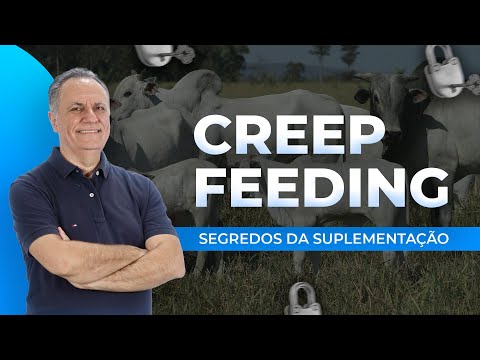 Creep Feeding: a qualidade do pasto influencia o retorno?