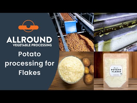 Potato processing for Flakes I Allround Vegetable Processing