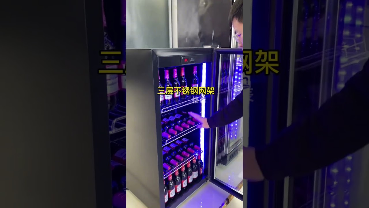 饮料柜 酒柜