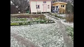 ТV-INFO