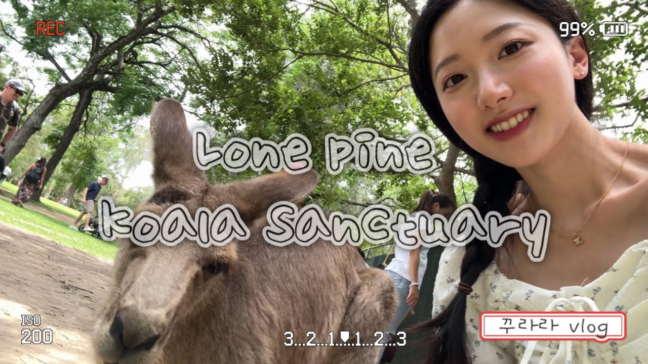 🇦🇺 캥거루 밥주고 코알라 쓰담고 노는 하루 🦘🐨| 브리즈번 여행 필수 코스 론파인!🌿 | 어린이들은 캥거루한테 밥 안주고 나한테 주고감 🤣 | Australia vlog