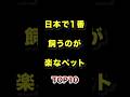 祝️14万再生!!日本で1番飼うのが楽なペットTOP10 #日本一 #ペット #飼育 #ランキング動画
