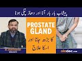 Prostate Gland And Urinary Problems - Peshab Ka Bar Bar Ana Ka Ilaj - Enlarged Prostate Treatment
