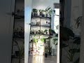 Not a therapist but plants definitely help ✌🏻❤️🌱 #plants #plantlover #plantsofinstagram #planttok