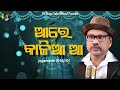 Aare Kalia aa | devotional jagannath bhajan | Dr Durga Sahu Official 