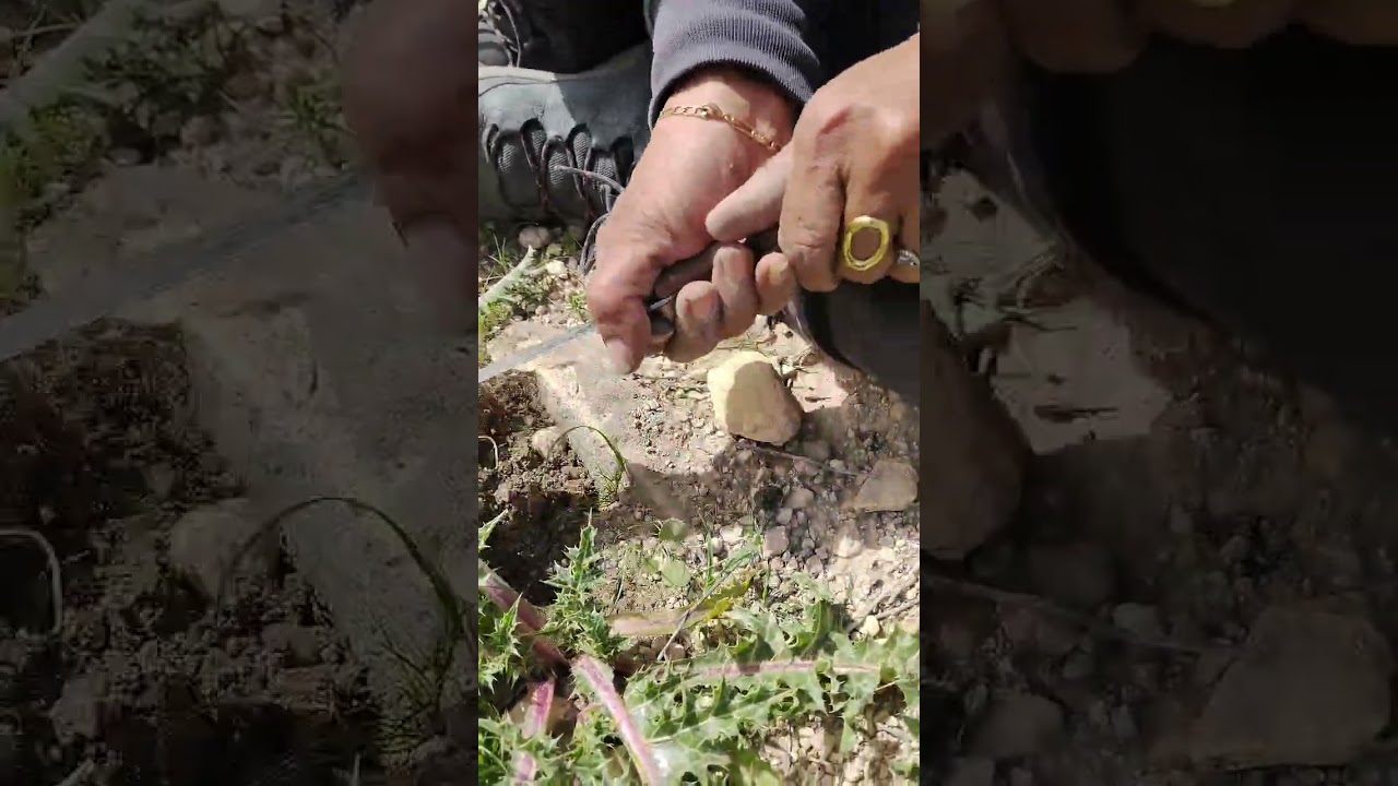 ١٧ فبراير ٢٠٢٦