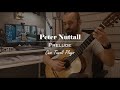 Peter nuttall  prelude  cem tunal plays  classical guitar  guitar song 