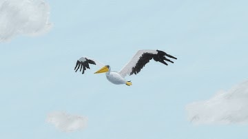 Bird Flap / Overlap - Animation Tutorial (How to Animate Bird Flight)